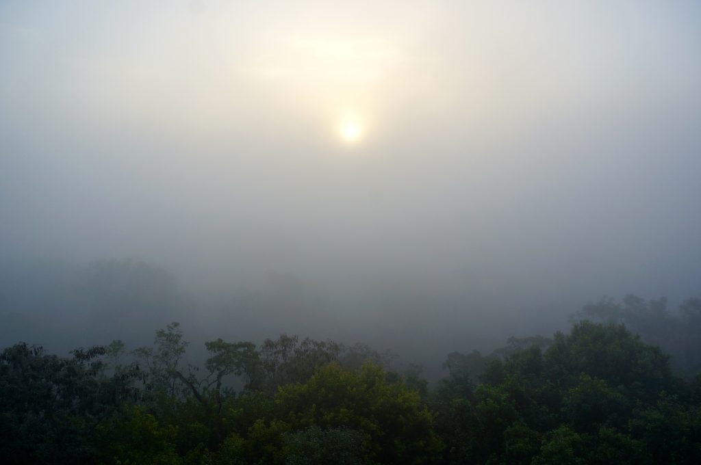 Tikal fog sunrise