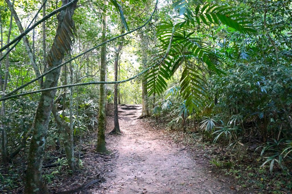 Tikal hiking trails