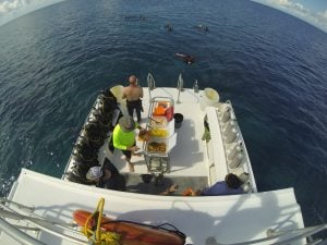 Scuba lunch