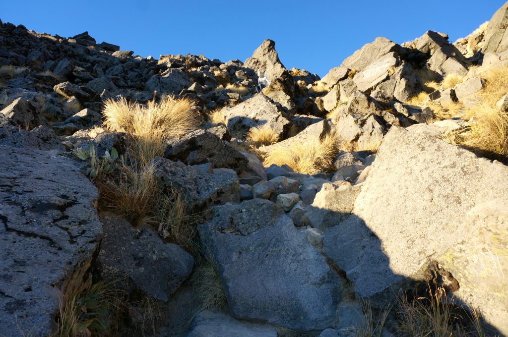 Trail to correct summit of Volcan Tajumulco hike