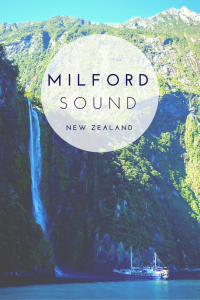 We break down the question "is Milford Sound worth it?" examining the time, drive, cost, and going with a group tour to this top rated New Zealand destination!