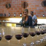 Wine Tasting in Bordeaux on a Budget: Travel Guide