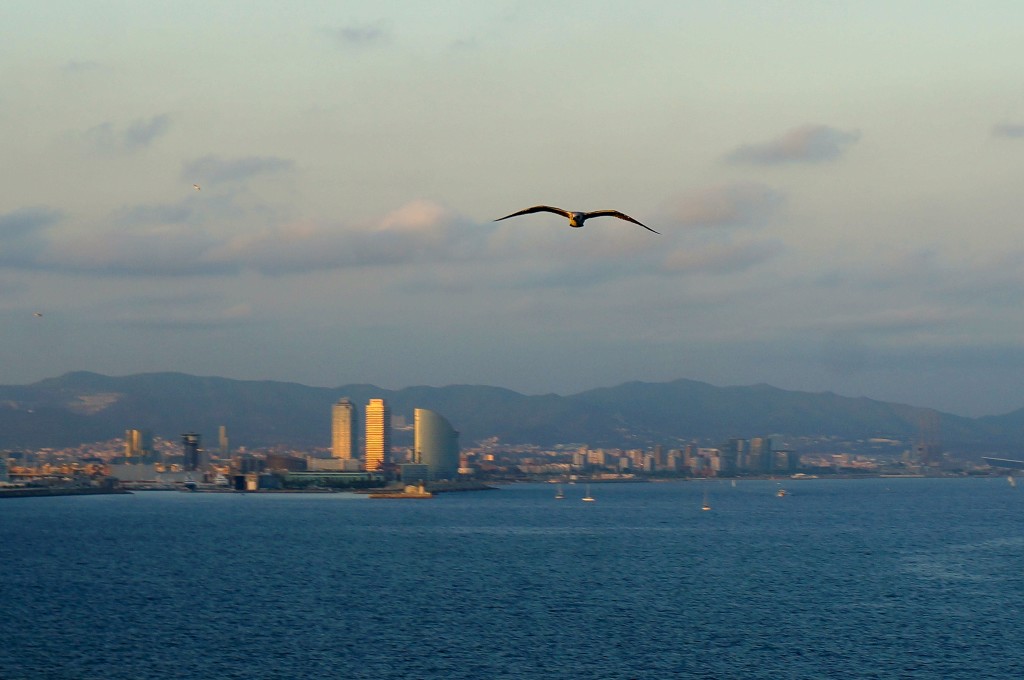 Seagull flying over the ocean with Barcelona Skyline