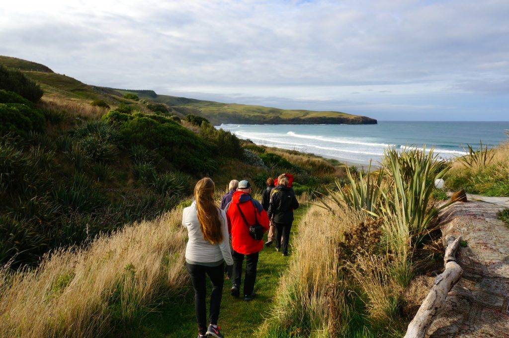 Walking down path of Otago Peninsula during Elm Wildlife Tour