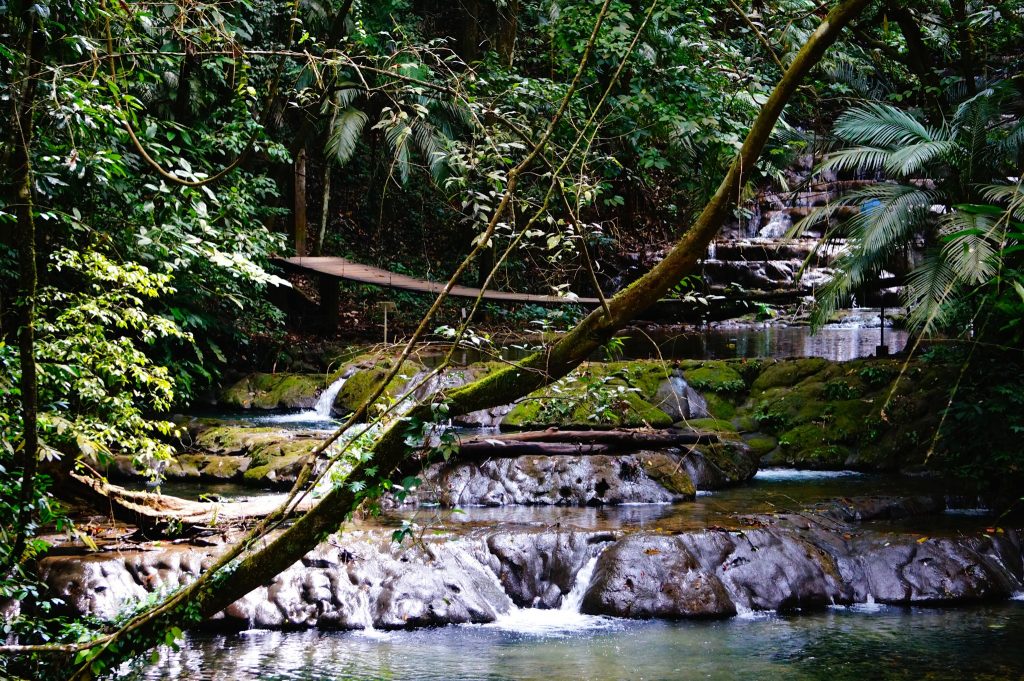 swing bridge over creek in the jungle at Palenque Mexico