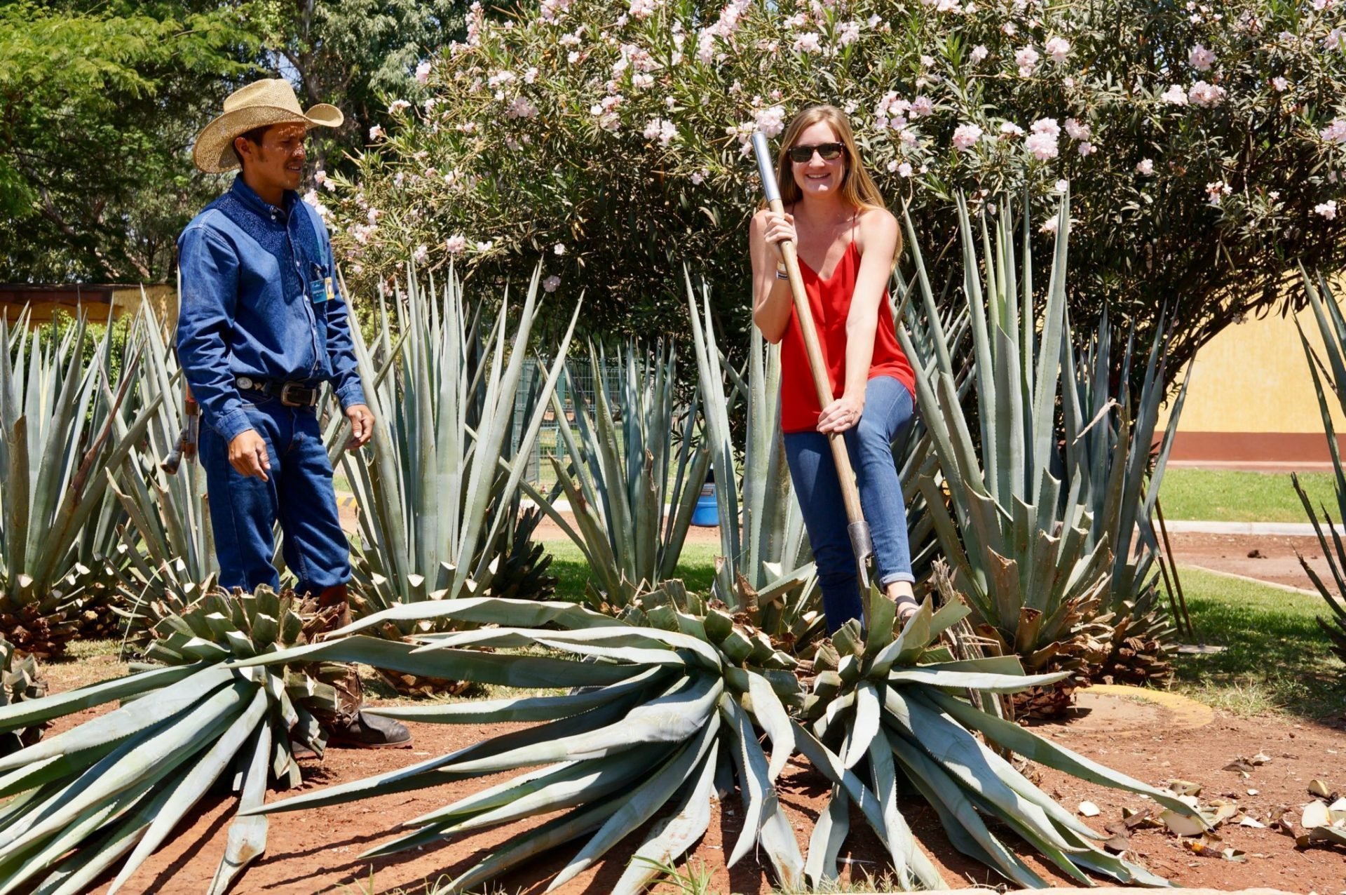 Tequila Herradura Express 🚂 Tequila Train Review & Tips