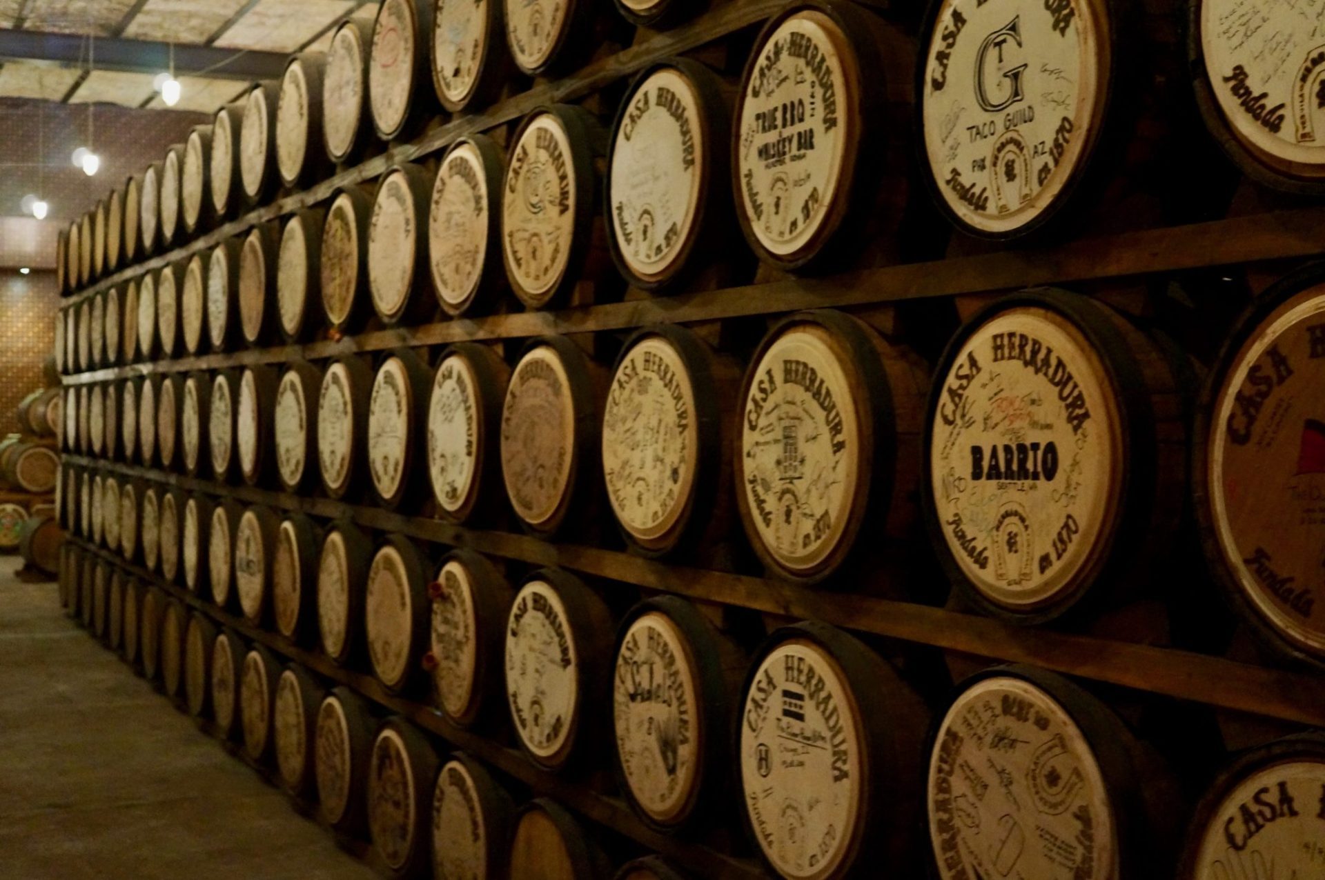 Tequila Herradura Express 🚂 Tequila Train Review & Tips