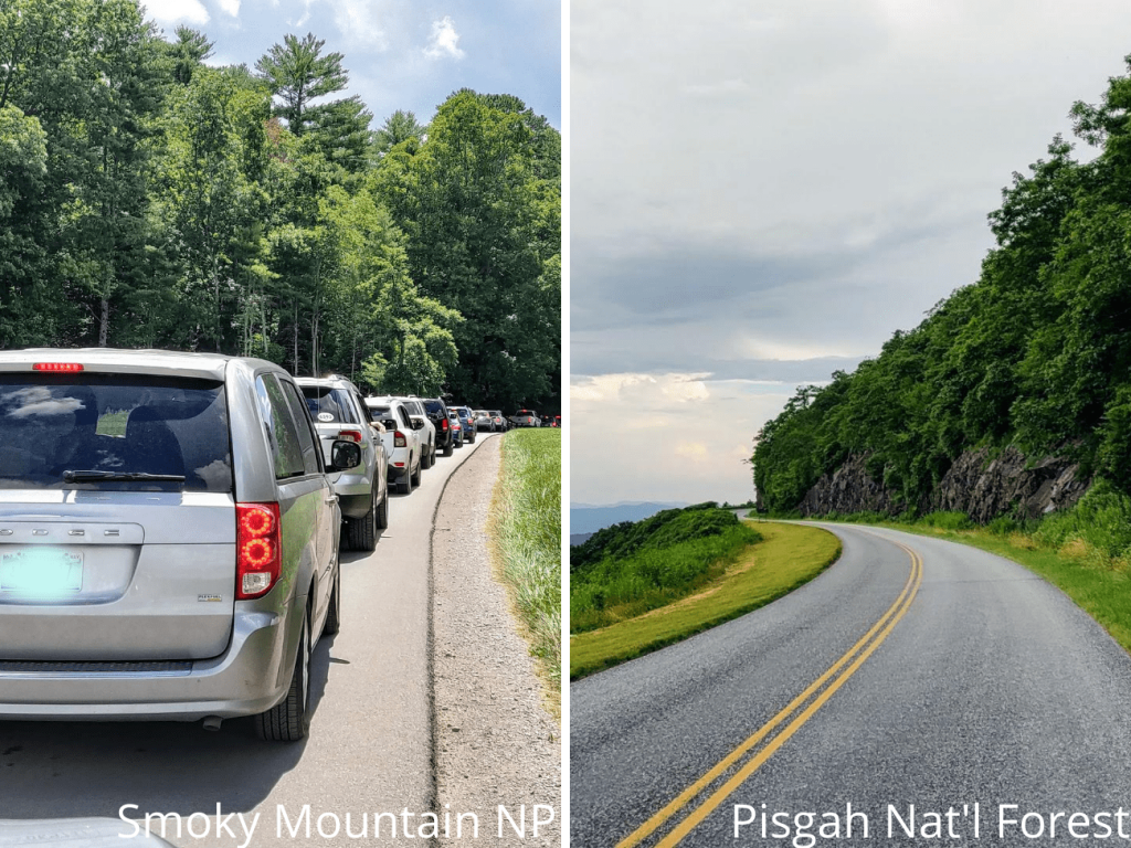 Popular National Park roads may get congested while many National Forest are less trafficked